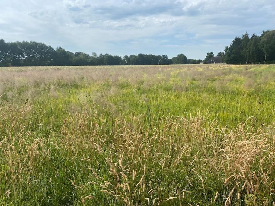 Kunst Und Natur In Worpswede公寓 外观 照片